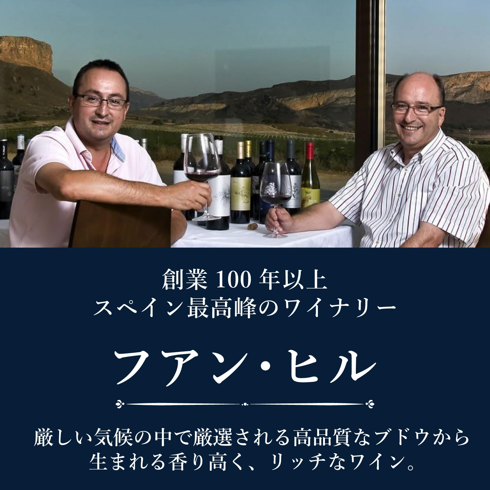 Amazon.co.jp: ファン・ヒル ドス・メセス(シルバーラベル) [ 赤ワイン